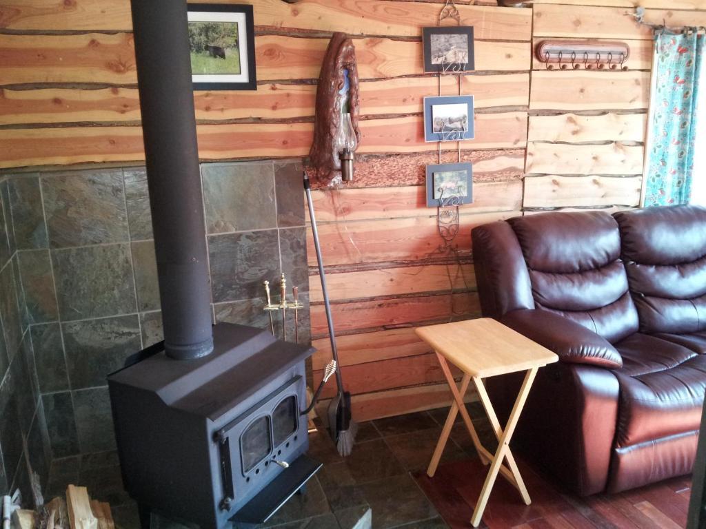 Hotel Steamboat Mountain Chalets Spillimacheen Pokoj fotografie