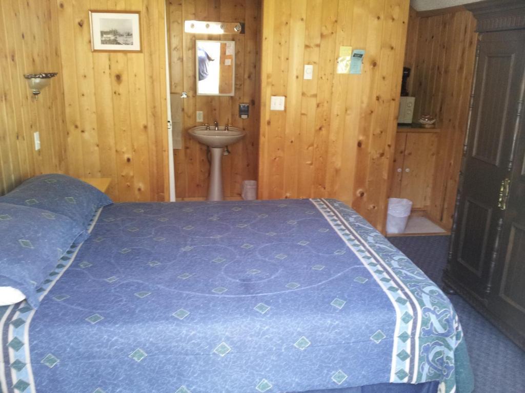 Hotel Steamboat Mountain Chalets Spillimacheen Pokoj fotografie